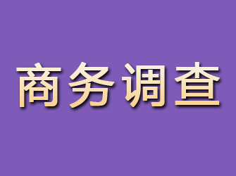 颍东商务调查