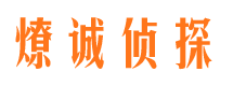 颍东市侦探调查公司